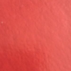 Meet your Posher, Dustin